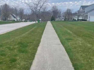 Angela B.'s Lawn Maintenance service result