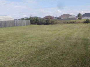 Sandra V.'s Lawn Service service result