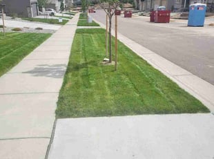Kenneth G.'s Lawn Mowing service result