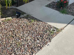 Weeding by John Weber for Greg L. in Clermont, FL