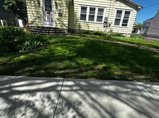 Hector L.'s Lawn Maintenance service result