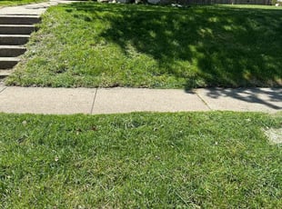 Marty S.'s Lawn Maintenance service result