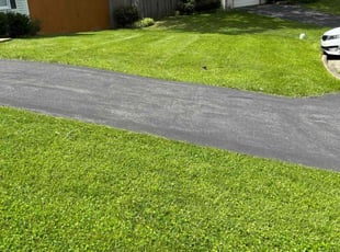 Quita S.'s Lawn Mowing service result