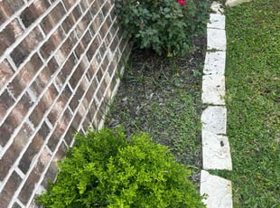 Weeding by Jonathon Holland for SHAWN B. in Hempstead, TX