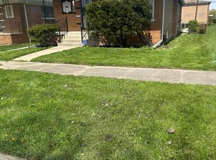 Jose R.'s Lawn Mowing Service service result