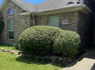 Bush Trimming by Jose Ramirez Arevalo for Caleab J. in Corpus Christi, TX