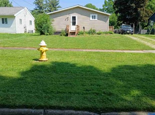 Victor P.'s Lawn Care service result