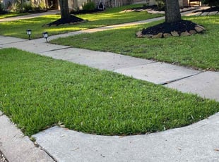 Jeff B.'s Lawn Service service result