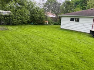 Hosea F.'s Lawn Mowing service result