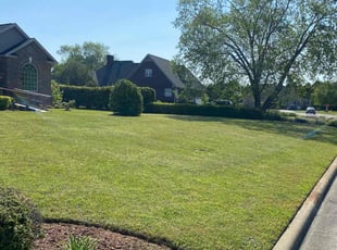 TJ S.'s Lawn Service service result