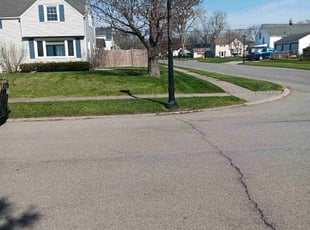 Madeline T.'s Lawn Care service result