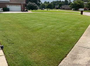 Ida C.'s Lawn Care service result