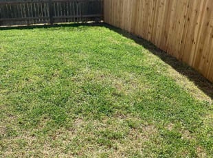 Danny M.'s Lawn Care service result