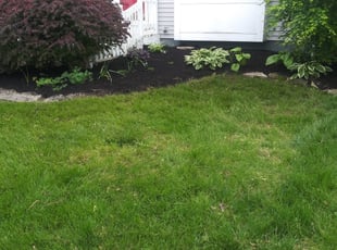 Landscaping by Lamont Howard for Erin J. in Hilliard, OH