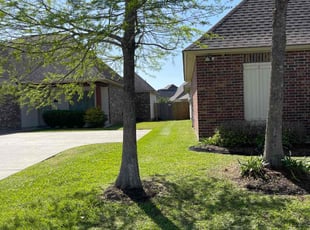 Stephanye B.'s Lawn Mowing Service service result
