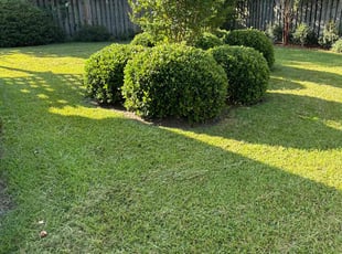 Donna B.'s Lawn Care service result