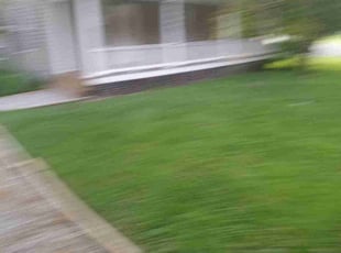 Carol C.'s Lawn Service service result