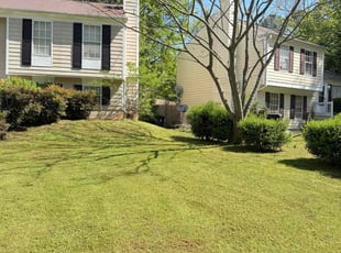 Ashley T.'s Lawn Mowing service result
