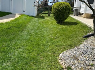 Roger m.'s Lawn Care service result