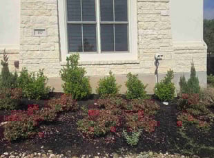 Bush Trimming by Victor Cortes for Travis C. in Georgetown, TX