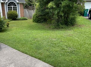 Grace H.'s Lawn Service service result