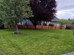 Julian I.'s Yard Cutting service result