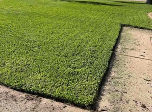 Paul W.'s Lawn Mowing Service service result