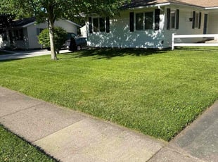 JJoel B.'s Lawn Service service result