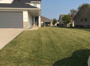 Christine W.'s Lawn Mowing service result