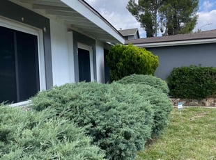 Bush Trimming by Keith Dalke for Axel L. in San Diego, CA