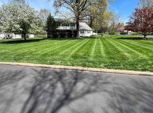 Ella J.'s Yard Cutting service result