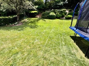 Molly G.'s Lawn Care service result