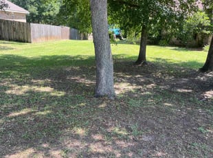 Alicia H.'s Leaf Removal service result