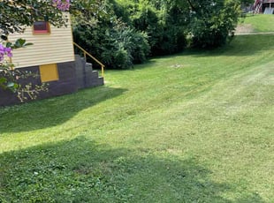 Luther H.'s Yard Cutting service result