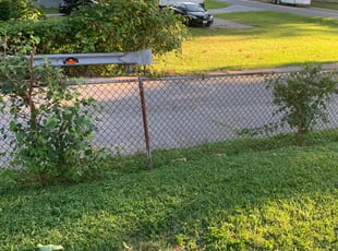 Bush Trimming by Aaron Holloway for Anna G. in Parkville, MD