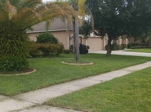 Steve C.'s Lawn Service service result