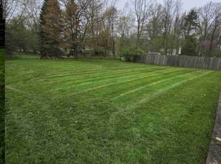 Sheila H.'s Lawn Care service result