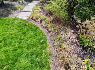 Bush Trimming by Peter Camiolo for Michael V. in Wynnewood, PA