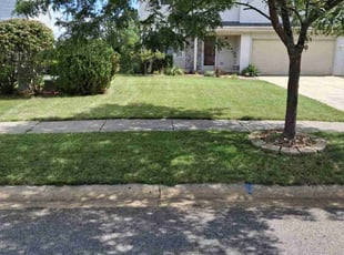 Carolynn N.'s Lawn Service service result