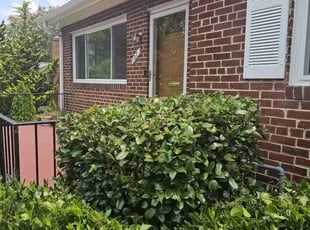 Diane R.'s Bush Trimming service result