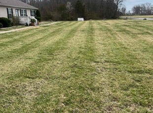 Jason B.'s Lawn Service service result
