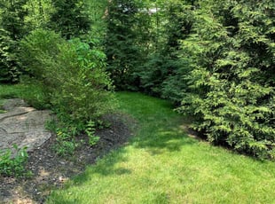 Shauna G.'s Lawn Care service result