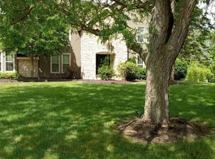 Sam V.'s Yard Cutting service result