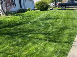 Roberta E.'s Lawn Service service result