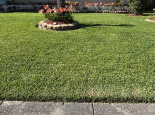Odinaka E.'s Yard Cutting service result
