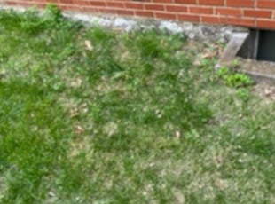 Cleanups by Dale Brooks for Julie L. in Kansas City, MO