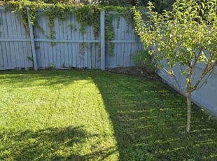 Cathy G.'s Lawn Maintenance service result