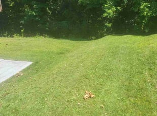 Teresa H.'s Lawn Care service result