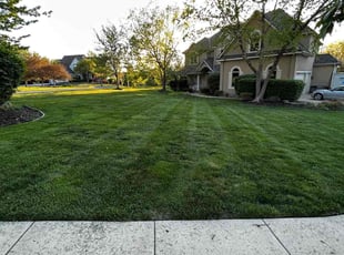 Greg M.'s Lawn Care service result