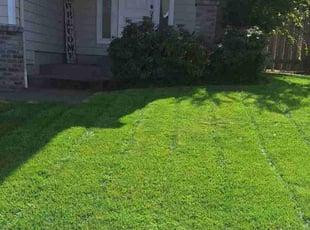 Aaron R.'s Lawn Service service result